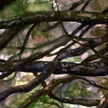 Magnolia Branches
18x24 Magnolia Branches
18x24